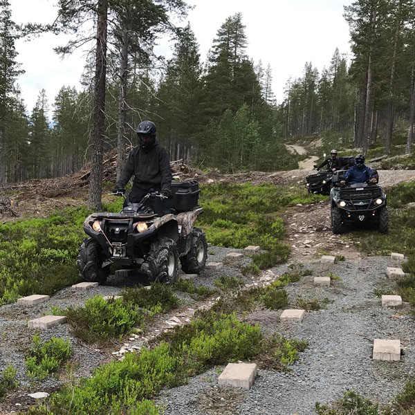 yamaha grizzly